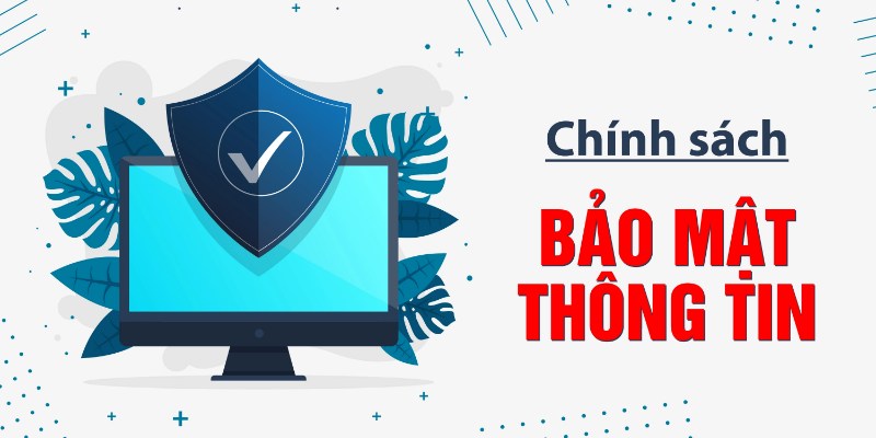 Chi tiết về chính sách của nhà cái